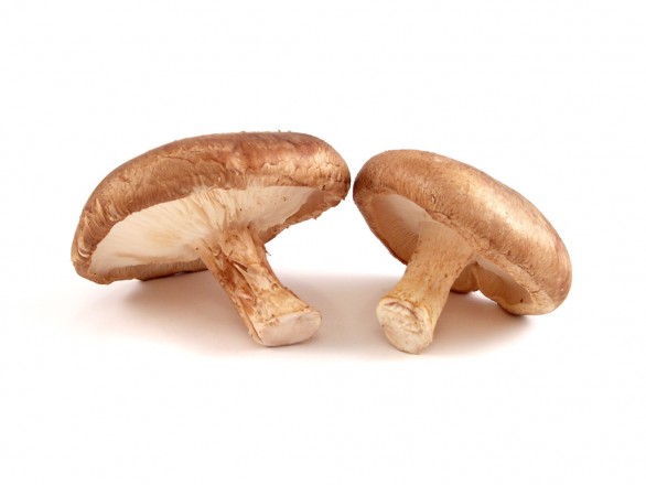 shiitake