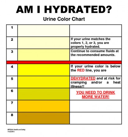 1-am-i-hydrated-chart