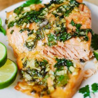 salmon
